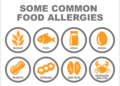 nowthendigital.com__the most common food allergies to avoid (1)