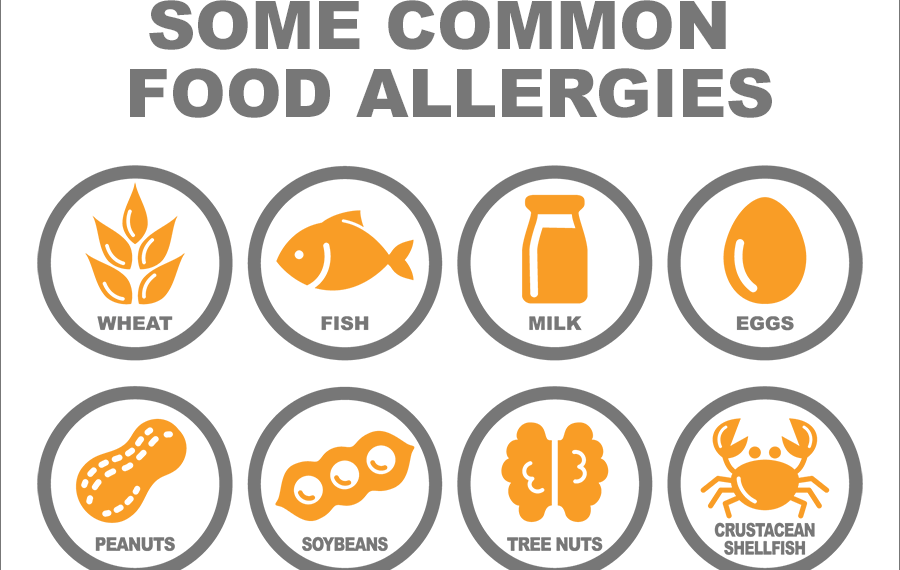 nowthendigital.com__the most common food allergies to avoid (1)