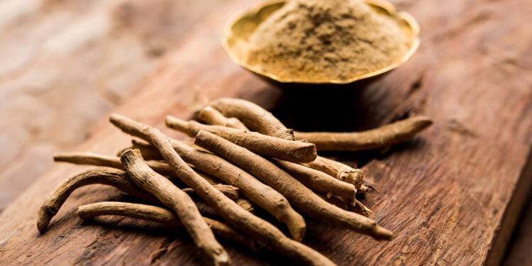 nowthendigital.com__what is ashwagandha and its side effects (1)