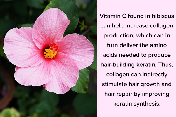 nowthendigital.com__hibiscus tea benefits for hair growth (1)