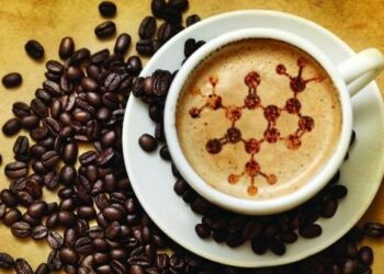 Caffeine Is in Coffee Beans (1)