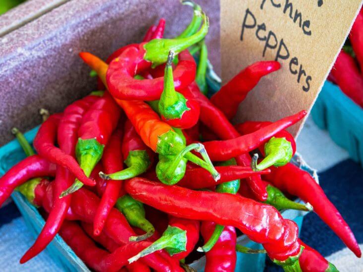 Cayenne pepper immune system