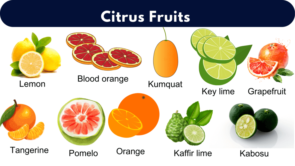 citrus fruits