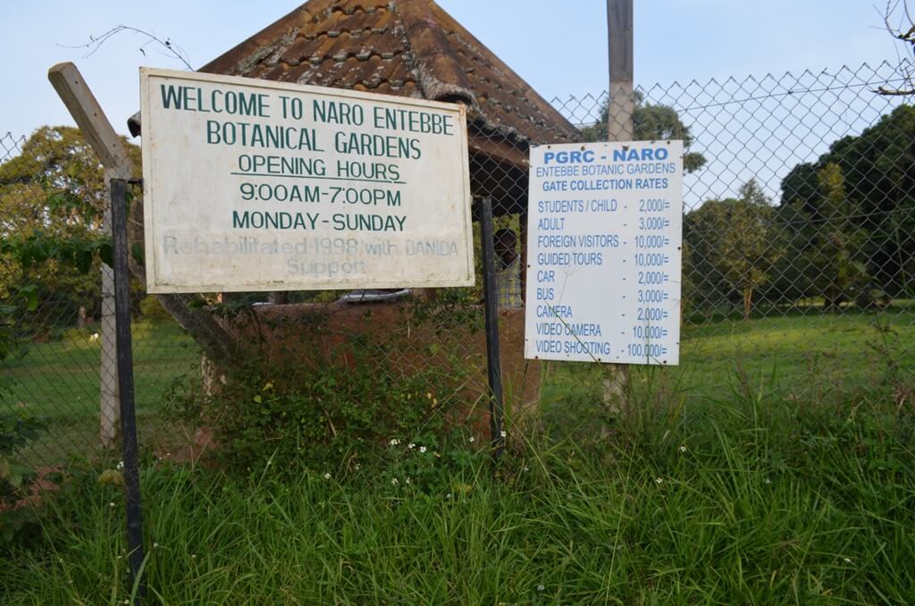 Entebbe Botanical Gardens (1)