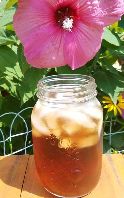 How to Dry Hibiscus Flowers For Tea (1)