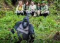 Mgahinga Gorilla National Park (1)