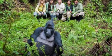 Mgahinga Gorilla National Park (1)