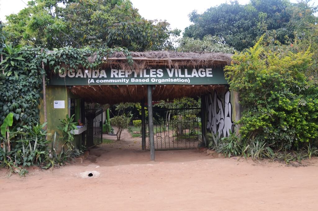 Uganda Reptiles Village