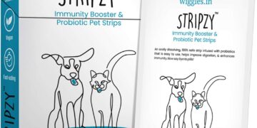 dog immunity booster and ingredients (1)