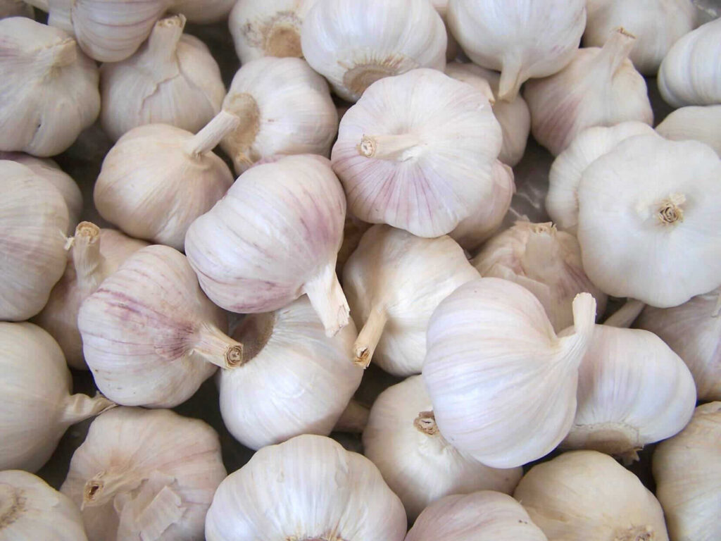 raw garlic side effects