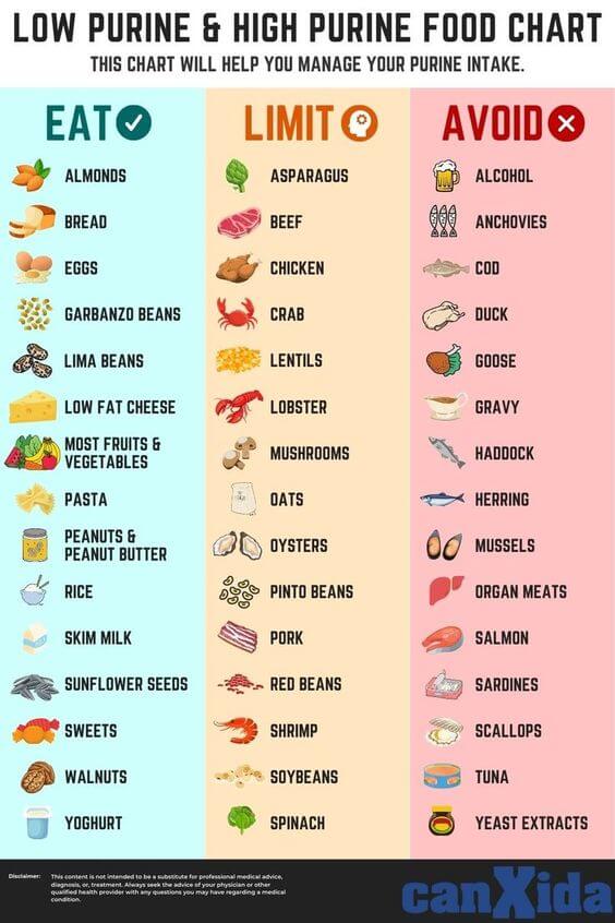 gout diet plan chart for daily use (1)