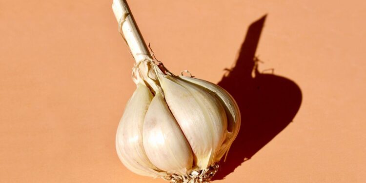 how to eat raw garlic for parasites (1)