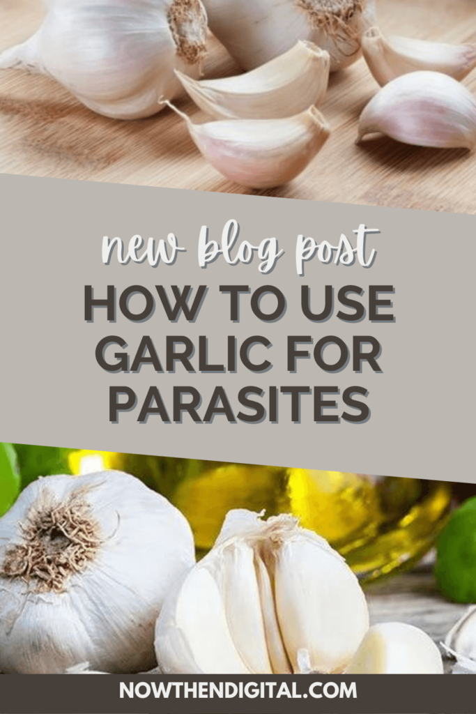 how to use garlic for parasites (1)