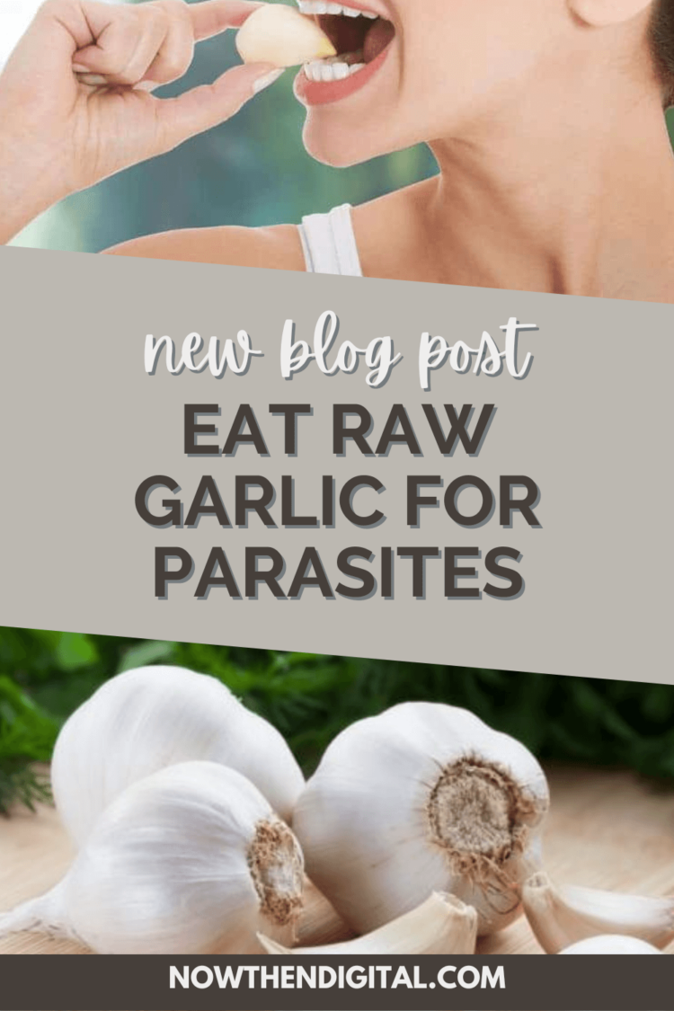 Is Raw Garlic Good For Parasites? Now Then Digital