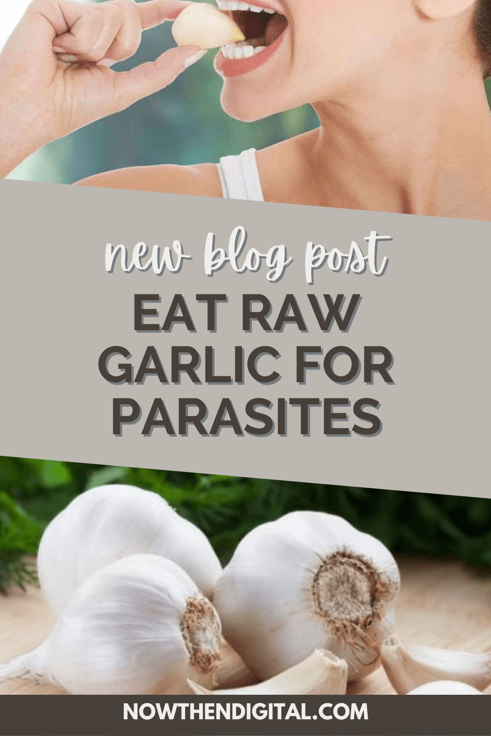 Is Raw Garlic Good For Parasites? Now Then Digital