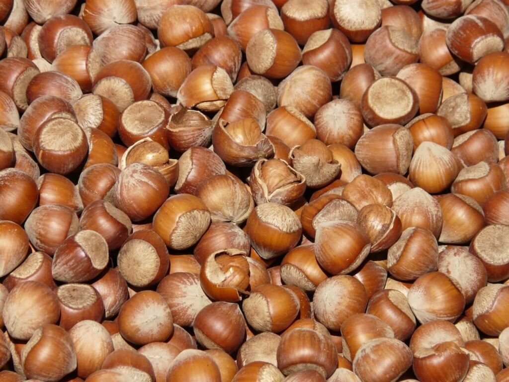 Hazelnuts