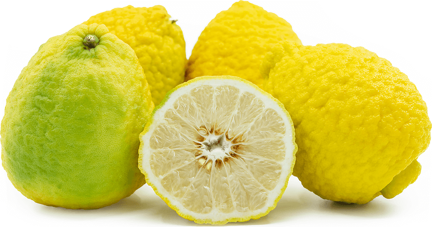 Papeda (citrus)