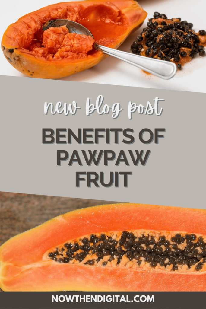 benefits of eating papaya