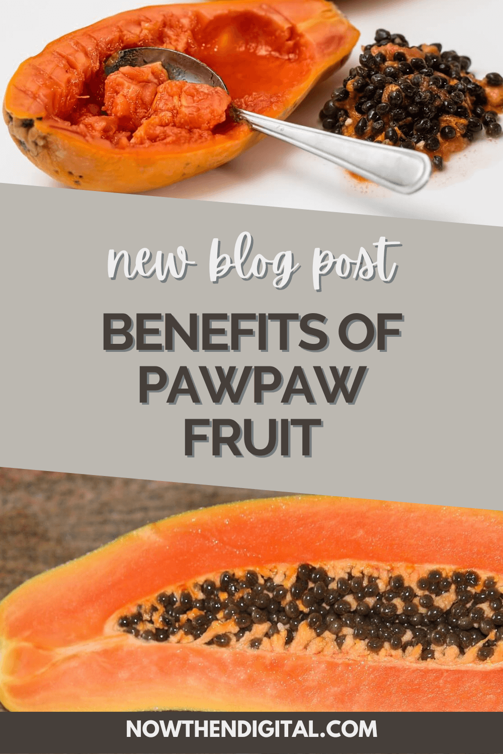 Health Benefits Of Pawpaw Fruit The Definitive Guide Now Then Digital