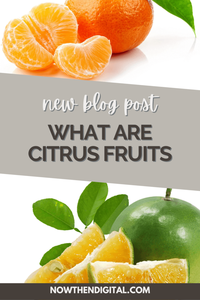 list of citrus fruits