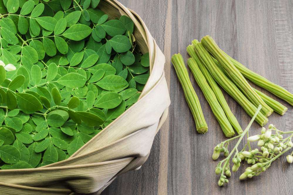 moringa leaves benefits