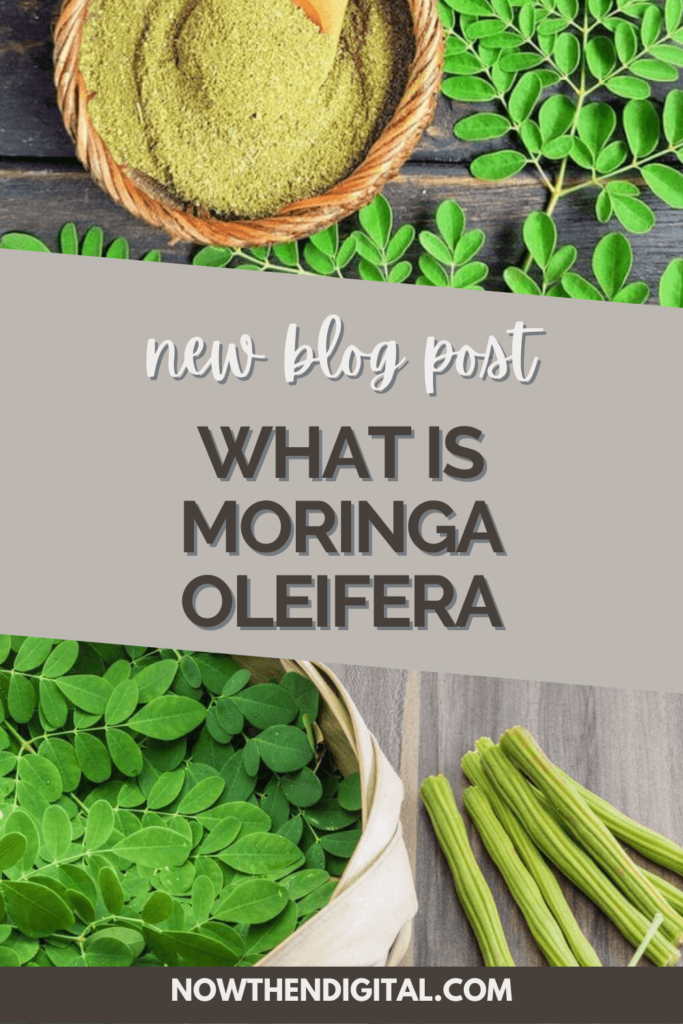 moringa tea benefits