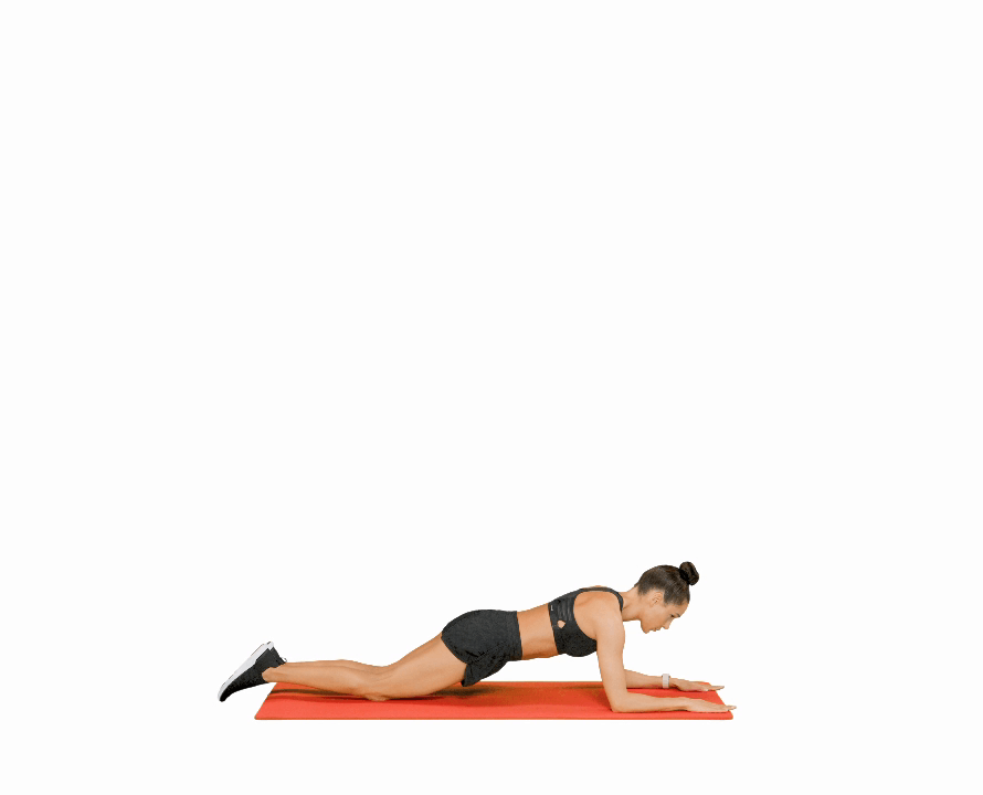 plank press exercise