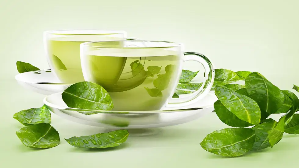 weight loss with green tea