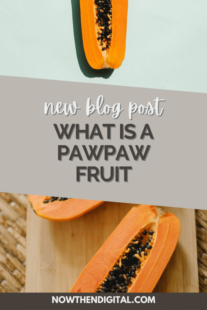 what is a pawpaw fruit
