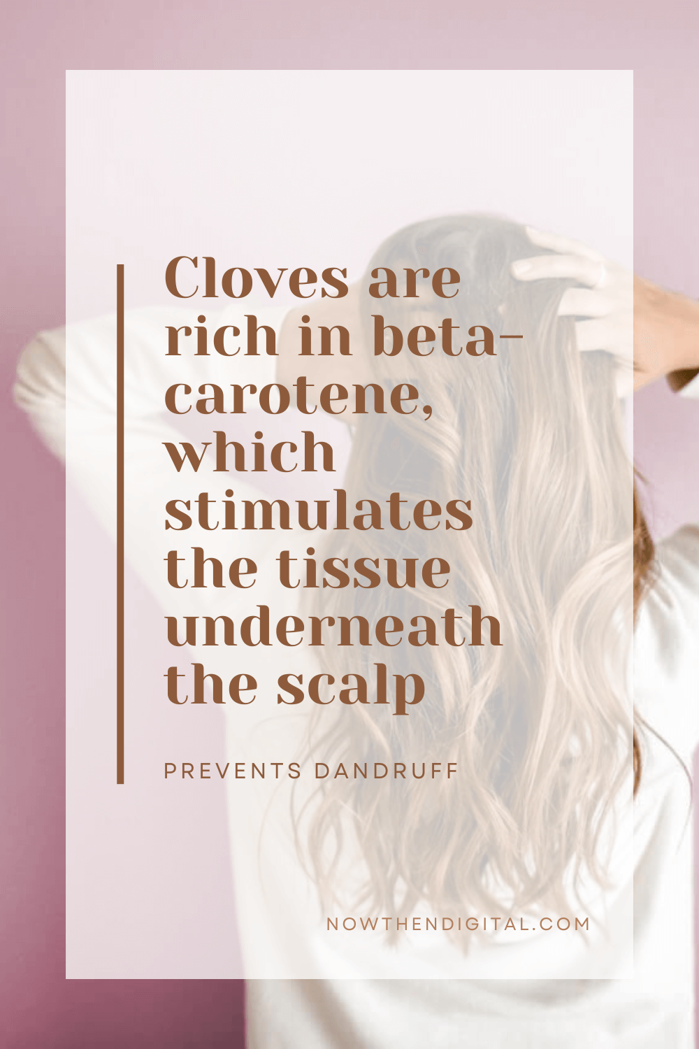 Cloves Water How to Use It for Hair Growth Now Then Digital