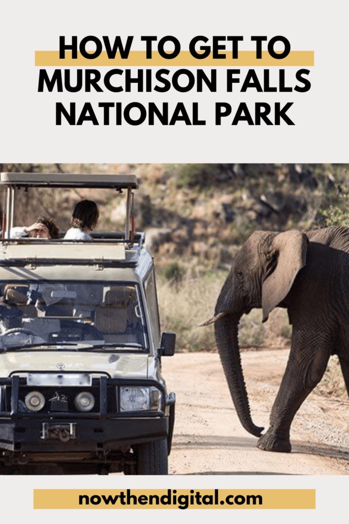 how to get to murchison falls national park