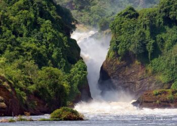 murchison falls national park uganda
