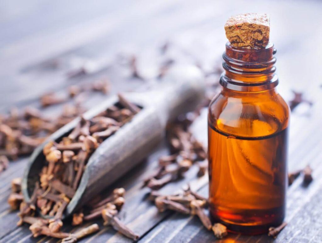 using Clove oil