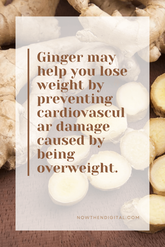 ginger home remedies for weight loss