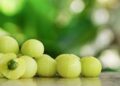 what is the benefits of amla juice