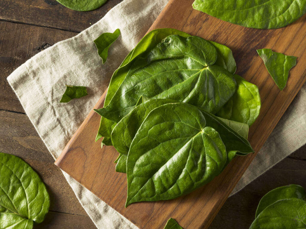 Betel leaves