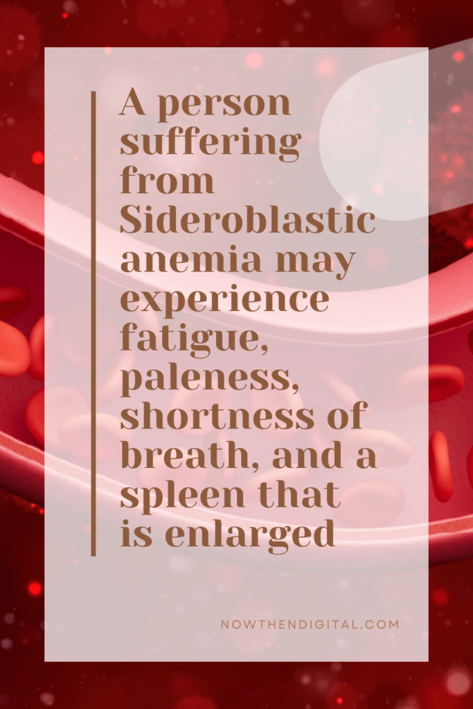 congenital sideroblastic anemia causes