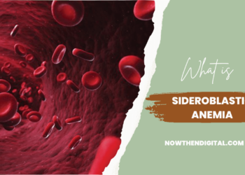 sideroblastic anemia