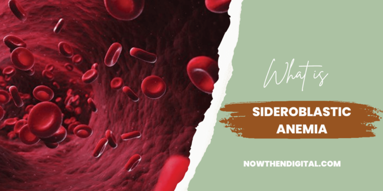 sideroblastic anemia