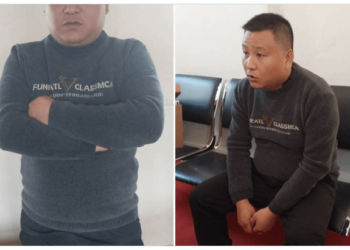 Arrest of Yinghe Chen