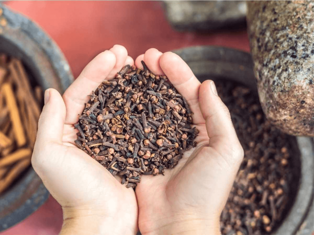 7 Surprising Health Benefits of Cloves for Women Now Then Digital
