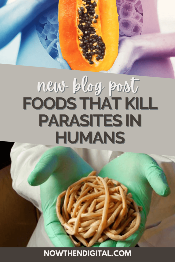 foods that kill parasites