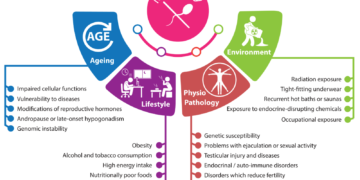 how to support a partner with male factor infertility
