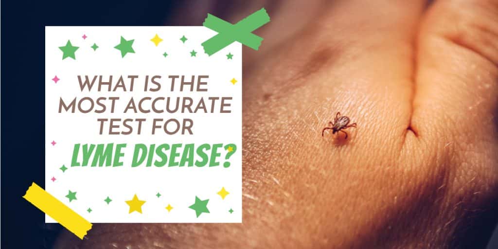 how to test for lyme disease