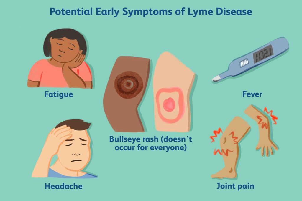 untreated lyme disease symptoms