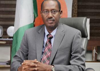 Housing Minister Dangiwa named Chairman of Shelter Afrique AGM Bureau