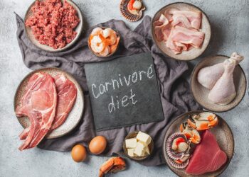 carnivore diet meal plan