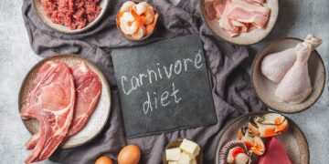 carnivore diet meal plan