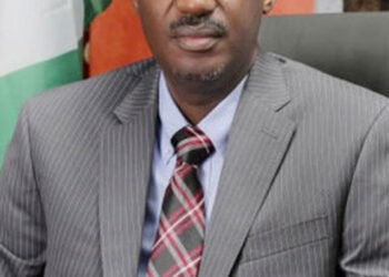 Housing Minister Dangiwa named Chairman of Shelter Afrique AGM Bureau