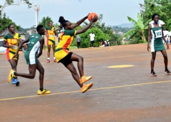 UNF Officials Face Suspension